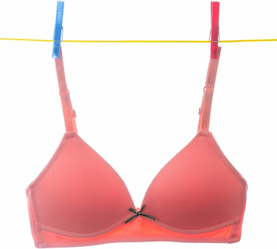 Alyce Ives Intimates Girls Teens & Petite Women Lightly Padded Underwire T-Shirt Bra 6-Pack Everyday Comfort Soft Bras